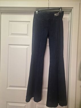 EXPRESS Dark Blue Flared Denim Pants